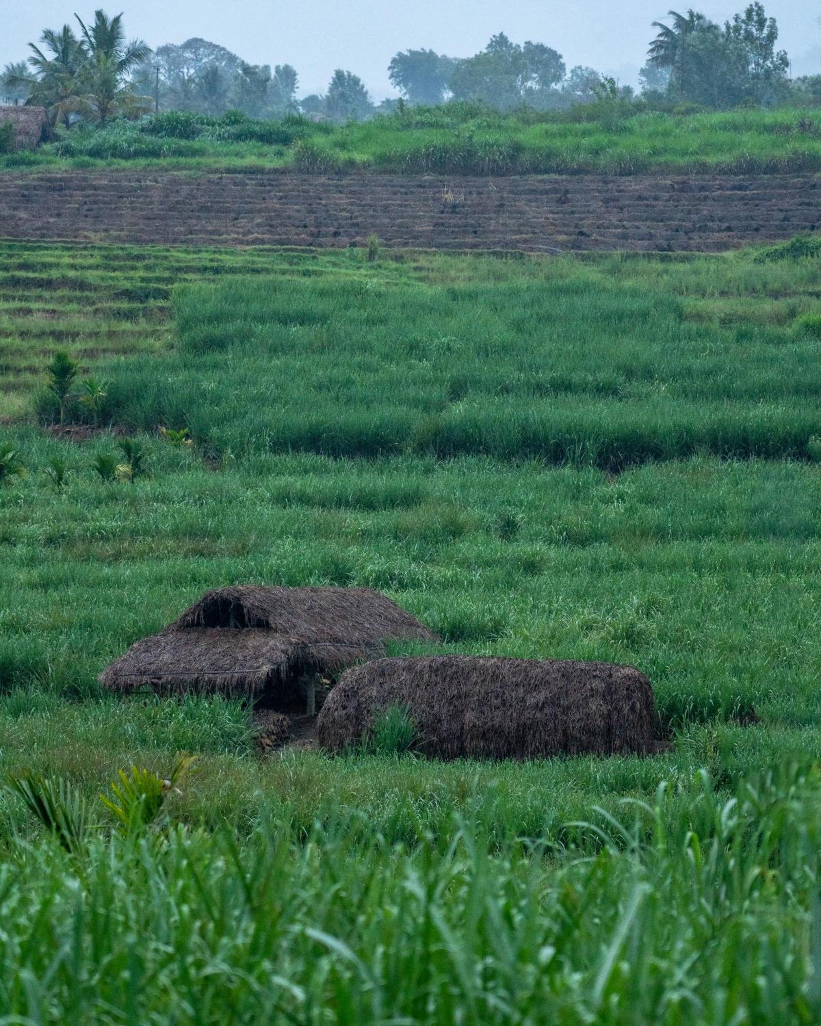 The Mudhouse Marayoor Hotel Munnar Buitenkant foto